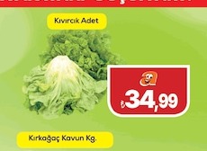 Kivircik Adet