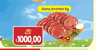 Dana Antrikot Oy
