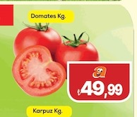 Domates Oy