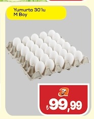 Yumurta M Boy 30'Lu