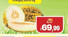 Kırkağaç Kavun Kg.