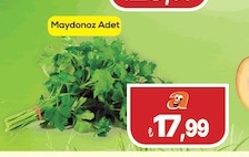 Maydanoz Adet