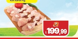 Gök Kanat Kg.