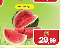 Karpuz Kg.