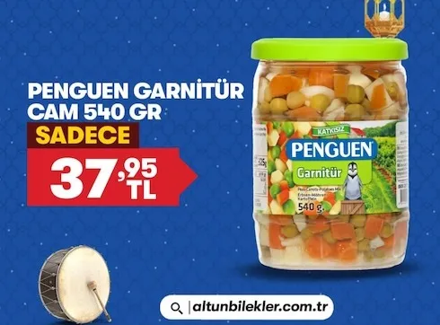 Penguen Garnitür Cam 540 Gr