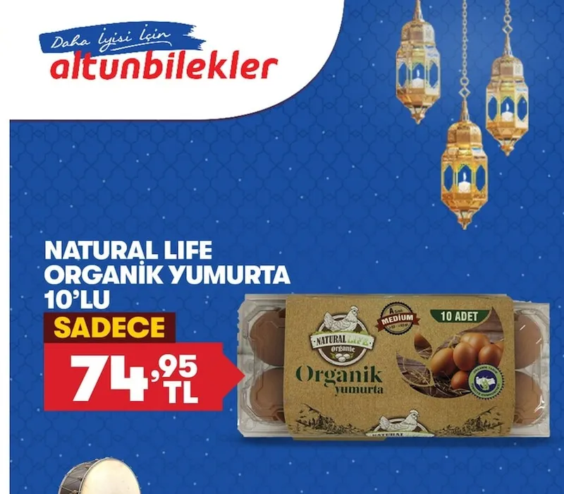 Natural Life Organik Yumurta 10'Lu