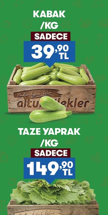Kabak / Kg