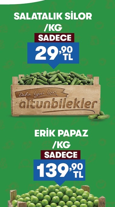 Salatalik Silor / Kg