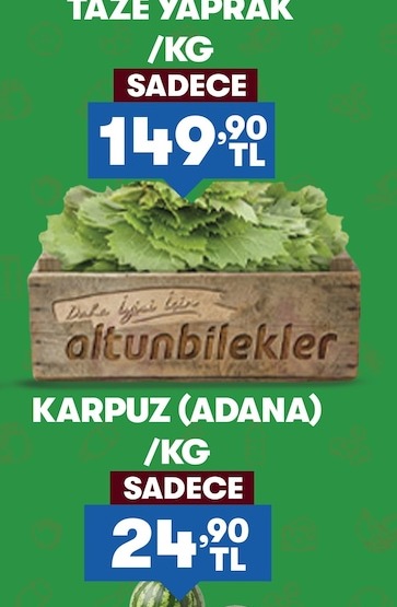 Taze Yaprak /Kg