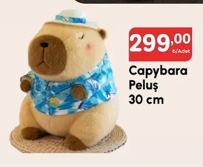 Capybara Peluş 30 Cm