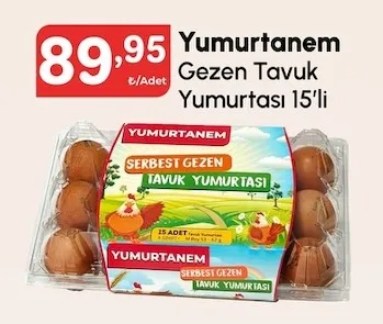 Yumurtanem Gezen Tavuk Yumurtası 15'Li