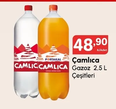 Çamlıca Gazoz 2,5 L Çeşitleri