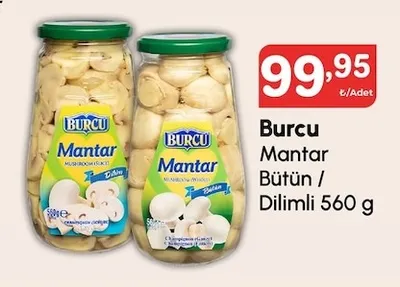 Burcu Mantar Bütün / Dilimli 560 G