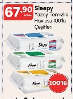 Sleepy Yüzey Temizlik Havlusu 100'Lü Çeşitleri