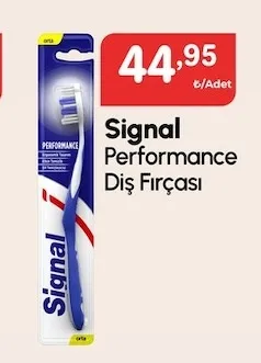 Signal Performance Diş Fırçası