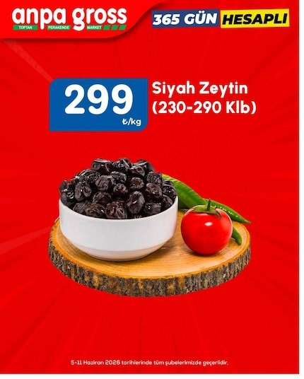Anpa Gross Siyah Zeytin (230-290 Klb)