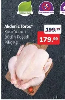 Akdeniz Toros Kuru Yorum Bütün Poşetli Piliç Kg