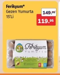 Ferikyum Gezen Yumurta 15'Li