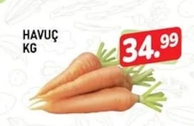 Havuç Kg