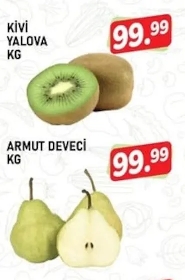 Kivi Yalova Kg