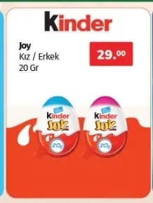 Kinder Joy Kız / Erkek 20 Gr