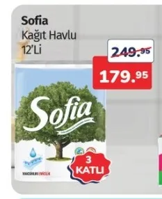 Sofia Kağıt Havlu 12'Li