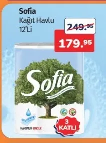 Sofia Kağıt Havlu 12'Li