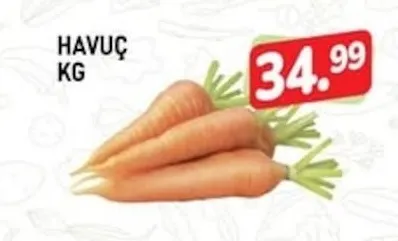 Havuç Kg