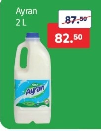 Filiz Ayran 2 L