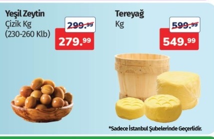 Yeşil Zeytin Çizik Kg (230-260 Klb)