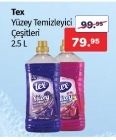 Tex Yüzey Temizleyici Çeşitleri 2.5 L