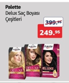 Palette Delux Saç Boyası Çeşitleri