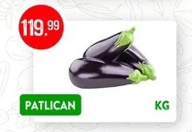 Patlıcan Kg