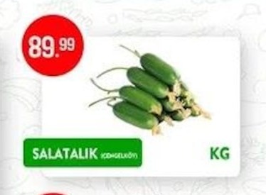 Salatalık Kg