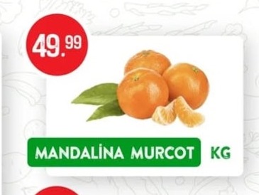 Mandalina Murcot Kg