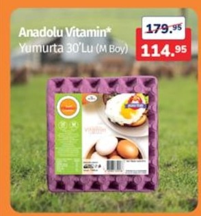 Anadolu Vitamin Yumurta 30'Lu (M Boy)