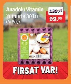 Anadolu Vitamin Yumurta 30'Lu (M Boy)