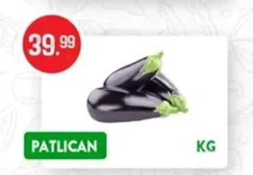 Patlican Kg