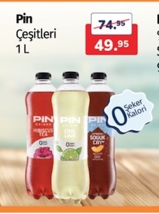 Pin Çeşitleri 1L