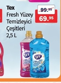 Tex Fresh Yüzey Temizleyici Çeşitleri 2,5 L