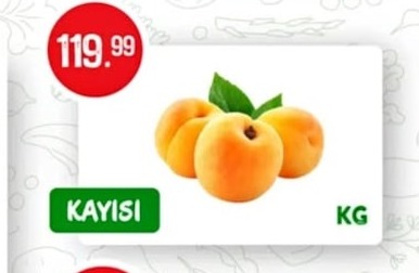 Kayisi Kg