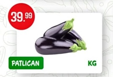 Patlican Kg