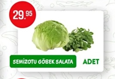 Semizotu Göbek Salata Adet