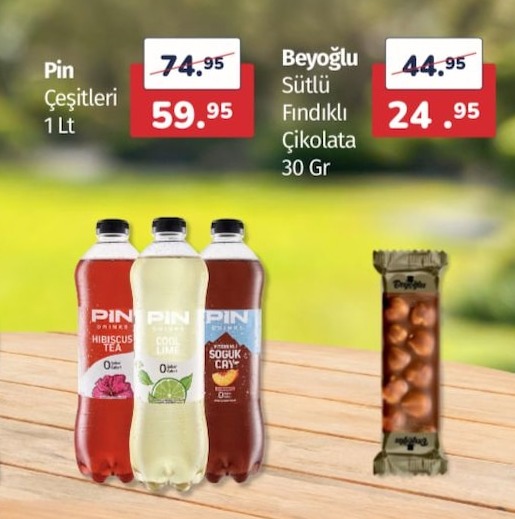 Pin Çeşitleri 1 Lt