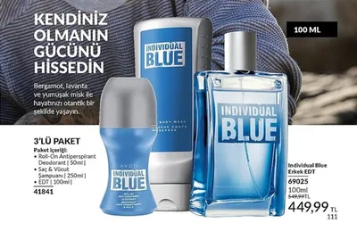 Avon Individual Blue Erkek Edt 100 Ml