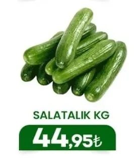 Salatalık Kg