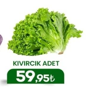 Kıvırcık Adet
