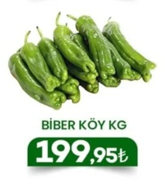 Biber Köy Kg