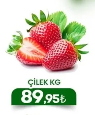 Çilek Kg