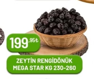 Zeytin Rengidönük Mega Star Kg 230-260